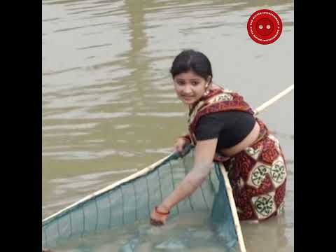 গ্রামের পুকুরে মাছ ধরতে গিয়ে সাপে কাটলো ভাবিকে || New Bangla Natok ||