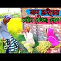লু'ইচ্চা নালু'র চরিত্র ফাঁ'স🤣 | Bangla Funny Video | Hello Noyon
