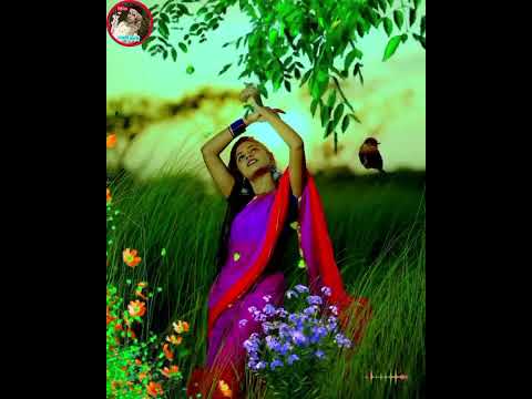 Tor Premer Agune | Nur Nobir Gaan | তোর প্রেমের আগুনে | Bangla Song | New Song 2023 অনেক কষ্টের গান