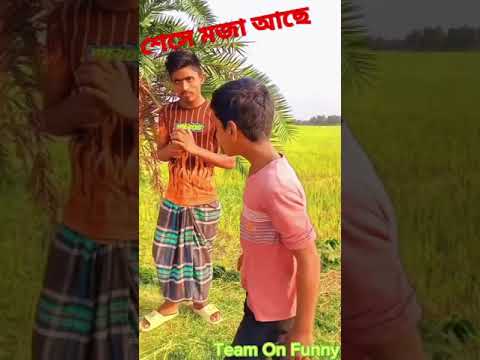 New Bangla Funny Video #funny #comedy #new #youtubeshorts