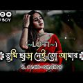 Tumi Chara-Lofi | তুমি ছাড়া নেই তো আমার | (Slowed+Reverb) Bangla Song 2023