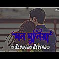 Mon_Munia || মন_মুনিয়া ||Lo-fi Remix (Slowed Reverb) || Bangla Song