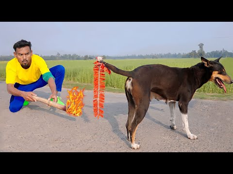 Top New Comedy Video 2023।🤗bangla comedy unlimited funny 🤣