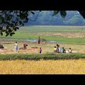 RAW Winter Village Life in Bangladesh | 2022 | People Activities | Explore Beautiful Bangladesh