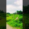 #green #nature #travel #bangladesh #shorts #reels