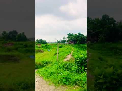#green #nature #travel #bangladesh #shorts #reels