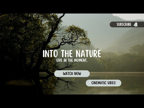 Into The Nature – Cinematic Travel Video | Chittagong Bangladesh