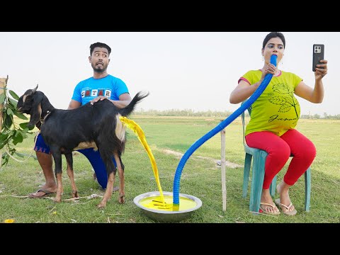 Must Watch New Special Comedy Video 2023 😎Totally Amazing Comedy  Episode 218#busyfunltd