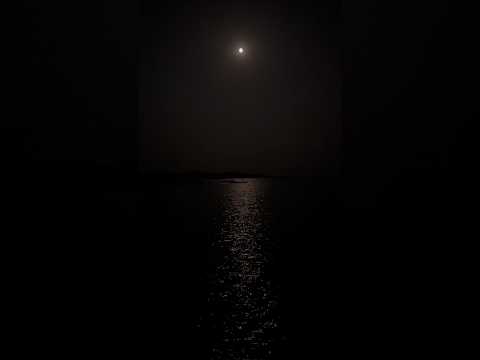 Moon 🌙❤️full moon,beautifulmoon#travel #bangladesh #travelvlog #for #foryou #foryoupage #moonlight
