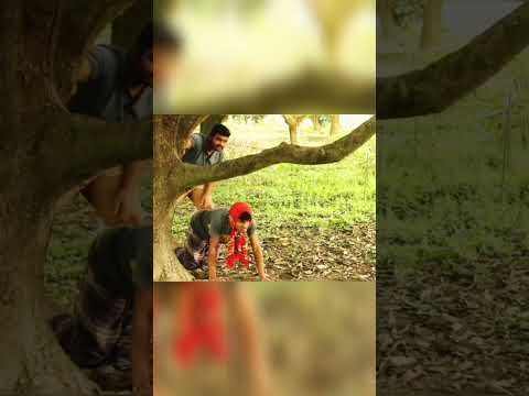 Bangla Funny Video | Team Shorts #shorts #short #funnyshorts #viralshorts