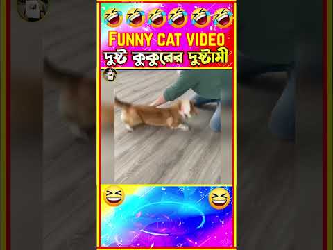 😂হাস্যকর প্রাণীদের দুষ্ট ভিডিও😁 Funny animals Bangla |  funny video #shorts