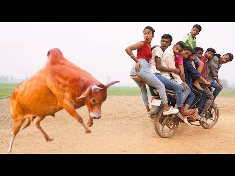 Must watch Bangla Funny Video |Amazing funny videos 2023 | special comedy video @palligramtv11