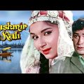 KASHMIR KI KALI Hindi Full Movie | Shammi Kapoor | Sharmila Tagore | Madan Puri | Pran