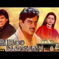 BILLOO BADSHAH Hindi Full Movie | Hindi Crime Drama | Shatrughan Sinha, Govinda, Neelam Kothari