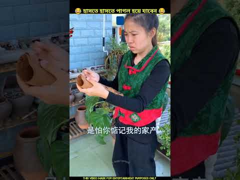 আমি জানি গুপ্তধন কোথায় আছে 😂 Chinese funny video|#shorts #funny