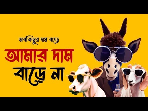 Amar Dam Barena ( আমার দাম বাড়ে না ) – Saif Zohan | Bangla New Song | Official Music Video
