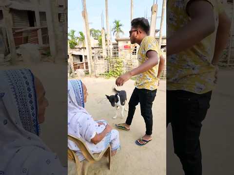 New bangla funny video || Best comedy video || Best funny video || Gopen comedy king #sorts