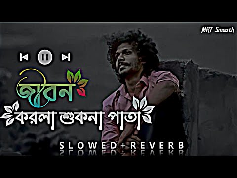 জীবন করলা শুকনা পাতা|jibon Kollam sukana pata|Lofi Bangla Song|[MRT Smooth]