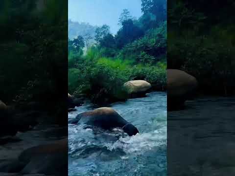 Beautiful Bangladesh | Music of the River | Bandarban | Sangu River | Nature | Travel Vlogs |