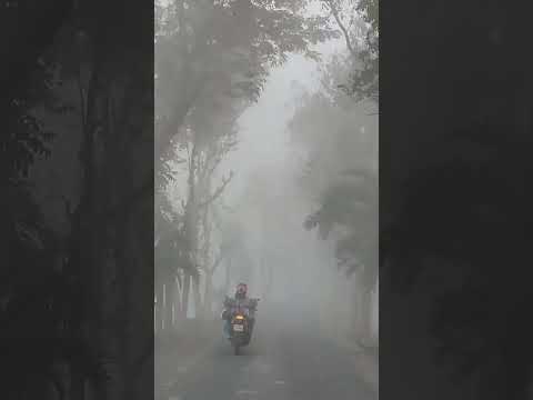 Beautiful Bangladesh Winter Time #nature #shortvideo #travel #bangladesh #winter #missing Winter