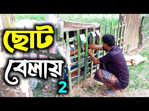 ছোট বেলার কাহিনী 2 Bangla Funny Video Haisa Bacina #HaisaBacina