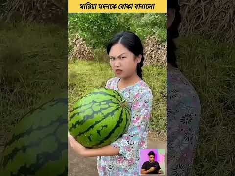 🤣 মারিয়া মদনকে বোকা বানালো | Chinese funny video bangla #shorts #funny #comedy