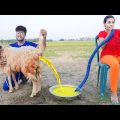 Don`t Miss Special Funniest Comedy Video 😂 Must Watch Viral Funny Video Episode 213 By #Funnyday