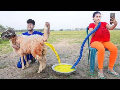 Don`t Miss Special Funniest Comedy Video 😂 Must Watch Viral Funny Video Episode 213 By #Funnyday