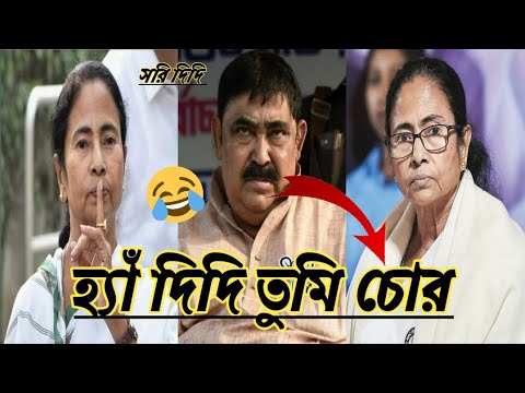 হ্যাঁ আমি চোর 😂| Momata | Anubrata | Bangla Funny Video Mamata Banerjee Speech | @FajlamirSeshNei