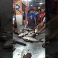 বড় বড় কাতলা মাছ দেখুন।।। #travel #bangladesh #subscribe #fishmarket