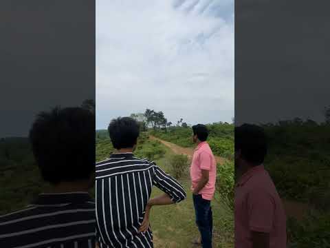 THIS view 🥺 #shortvideo #whatsappstatus #viral #nature #bangladesh #travel #sreemongol #trending