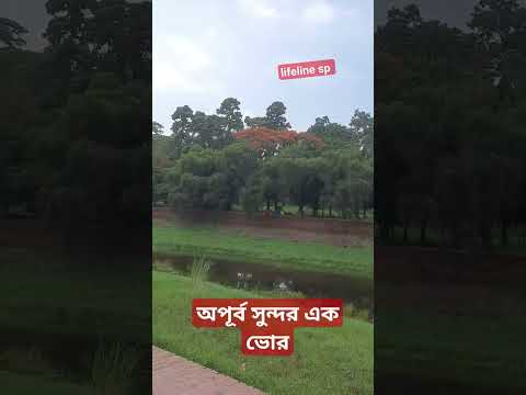 নজর #viral #shortvideo #travel #bangladesh #viralvideo #travel #natue #naturalbeauty #dhaka #shorts