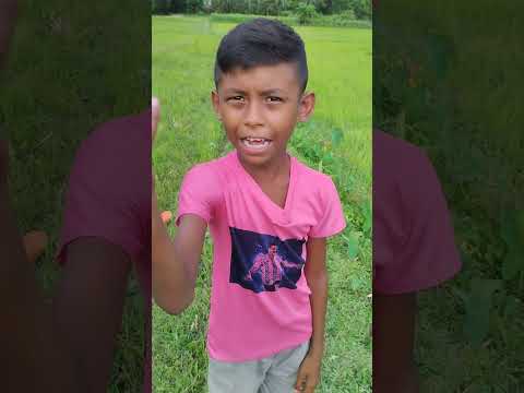 ছোট্ট ভাই যখন বেশি চালাক হয় | Bangla Funny Video | Rashid Vai_3.0 | #shorts #funny