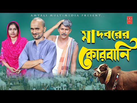 মাদবরের কোরবানি । Bangla Comedy Video । Amtali Multimedia । Eid Natok 2023