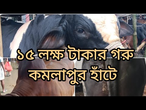 পানির দামে গরু পাবেন কমলাপুর হাঁটে | low cost cow at kamalapur hat | Nazirul Amin Barta