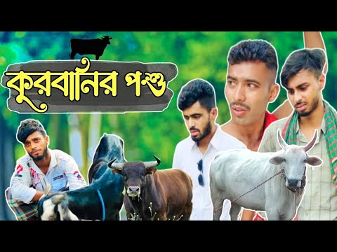 কুরবানির পশু / Bangla New Funny Video content