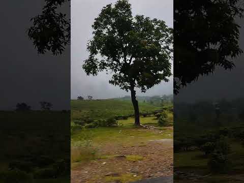 এত সুন্দর দেশ কোথাও পাবে নাকি তুমি ❤️ #nature #travel #bangladesh