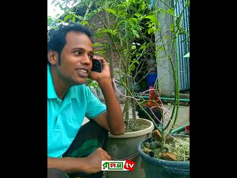 কাঁচা মরিচ গাছে স্বাবলম্বী || Bangla comedy video ||Bangla funny video || Bangla entertainment