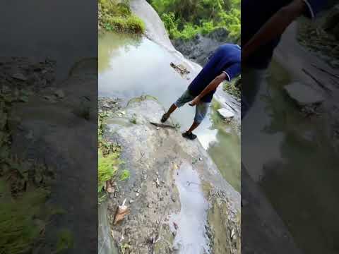 #shorts #viral #foryou #shortvideo #travel #bangladesh