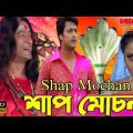 শাপ মোচন | Kolkata Bangla Movie | Shapmochon | Bengali Full Movie | Jishu | Meghna | #Movie_Address