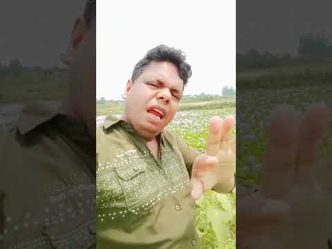 সবাই আমার চ্যানেলটি সাবস্ক্রাইব করুন #foryou #tiktok #bangladesh #bangla #amar #lipsing #song