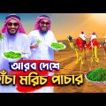 কাঁচা মরিচ এর ব্যবসায়ী | Bangla Funny Video | Family Entertainment bd | Desi Cid | দেশী