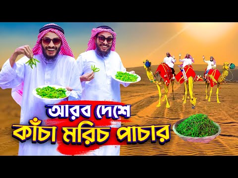 কাঁচা মরিচ এর ব্যবসায়ী | Bangla Funny Video | Family Entertainment bd | Desi Cid | দেশী