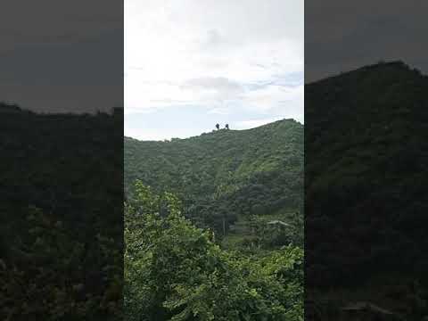 Wonderful Forest & Mountain | Bangladesh #travel #nature #forest #bd #Hills #Shor