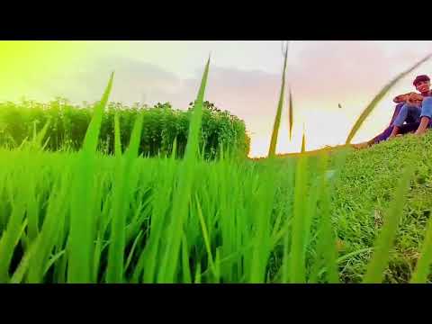 Nature of Bangladesh, with amar sonar bangla (Anthem song)4k_Video #new #video. 2023