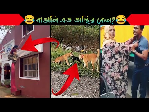 অস্থির বাঙালি Part 12 | Bangla Funny Video | না হেসে যাবি কই | Funny Facts | Jk Info Bangla|Mayajaal