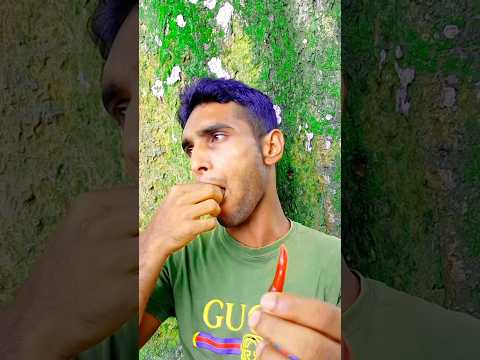 লঙ্কার জাদু 🌶️🌶️🤣🌶️ Bangla funny video | #boguravillagedrama #shorts #ytshort #vairalshorts