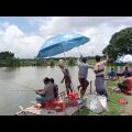 বরশি দিয়ে মাছ ধরা। fish catching