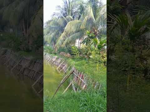 ঢাকা উত্তরা সেক্টর ৪ এ সুন্দর একটি পার্ক 😍  #travel #bangladesh #morning #shorts #videos #viral