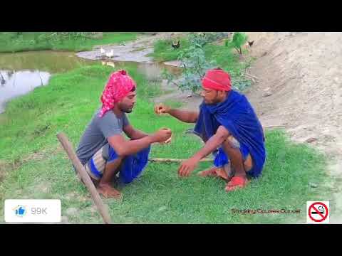 দুই ভাইয়ের যুক্তি  | New bangla funny video 2023 I  Rongin Bioscope Ltd.